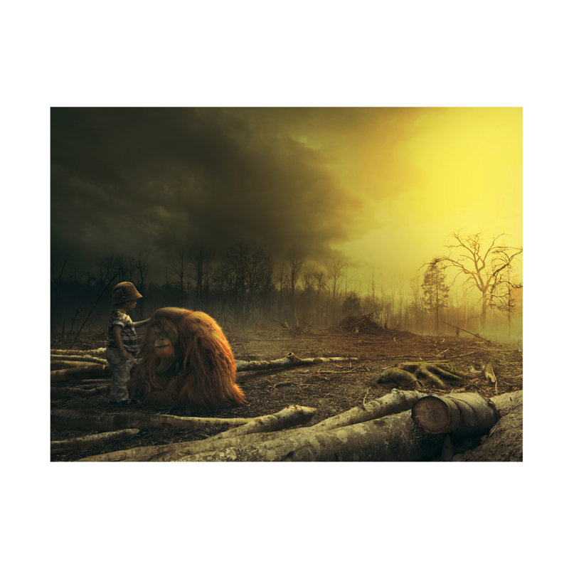 Hendra Yudhiarto M Dont Be Sad My Friend Canvas Art, 24" H x 32" W