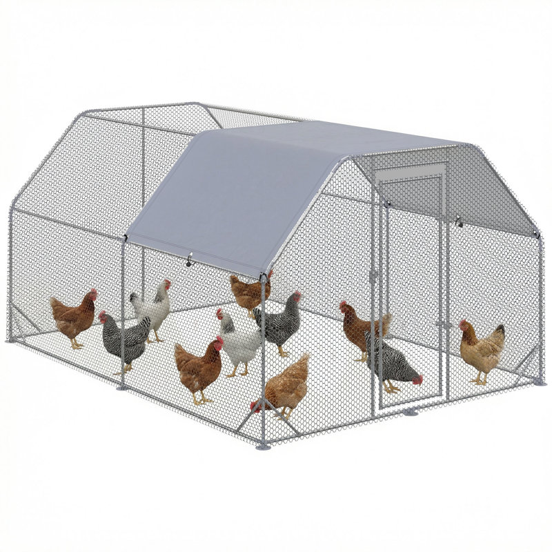 10.64m² Chicken Run For Up To 12 Chickens
