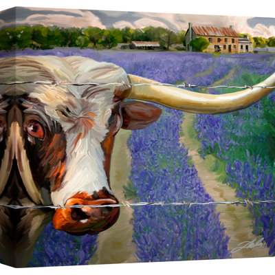 " Texas BB "