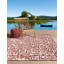 Tapis rouge rouille Aucun-2061843743