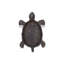Figurine turtle Feld