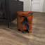 Table d'appoint en bois de teck brun Atharv