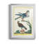 Pastel Birds III - reproduction de cadre photo-1457884730-1457884734