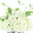 Polysilk Hydrangea Arrangement in Vase
