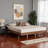 Galwyn Queen Size Bed Frame - Mid-Century Modern Brown, 14.69'' H X 82.23'' L X 62.38'' W-503011626