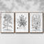 Ensemble de 3 pièces encadrées sur toile noir et blanc-809689888-809689916