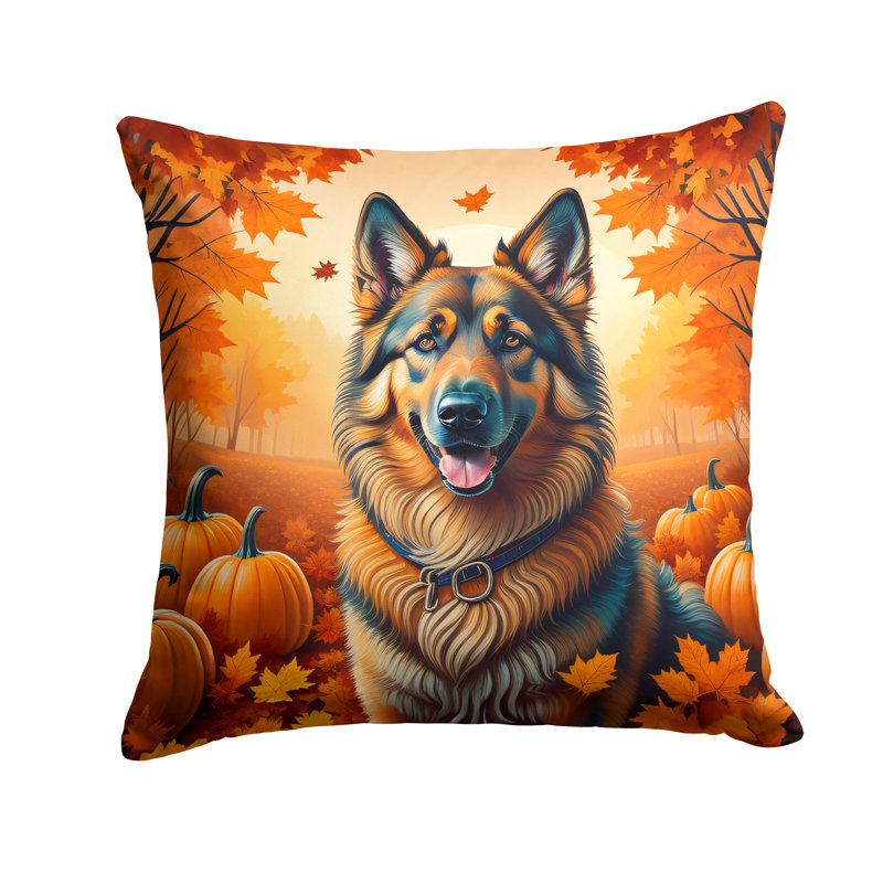  Coussin décoratif intérieur / extérieur en polyester Autre / Sans motif, 14 po x 14 po