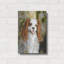 «Cavalier King Charles» par Solveiga