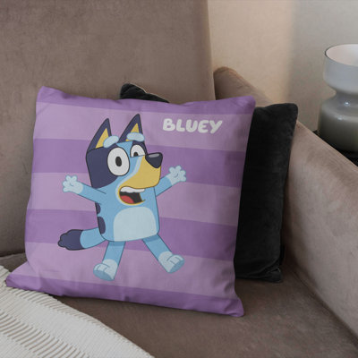 Outdoor Pillow Cover