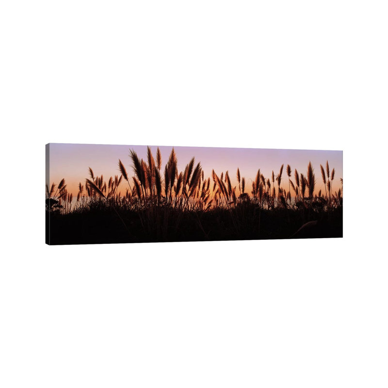 Silhouette Of Grass In A Field At Dusk, Big Sur, California, USA - Wrapped Canvas Panoramic Print