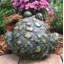 Statue de jardin classique "Lou" Toad Hollow-801408084