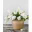 «Real Touch» lilas blanc 27,5 po-1803531827