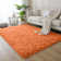 Alaunna Standard Shag Area Rug