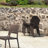 Ramseur Stacking Plastic/Resin Patio Dining Armchair-27288853