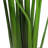 69'' Faux Palm Tree in Pot