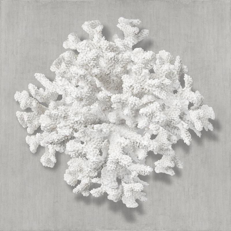 Coral On Gray II by Caroline Kelly - Wrapped Canvas Print, 30cm H x 30cm W