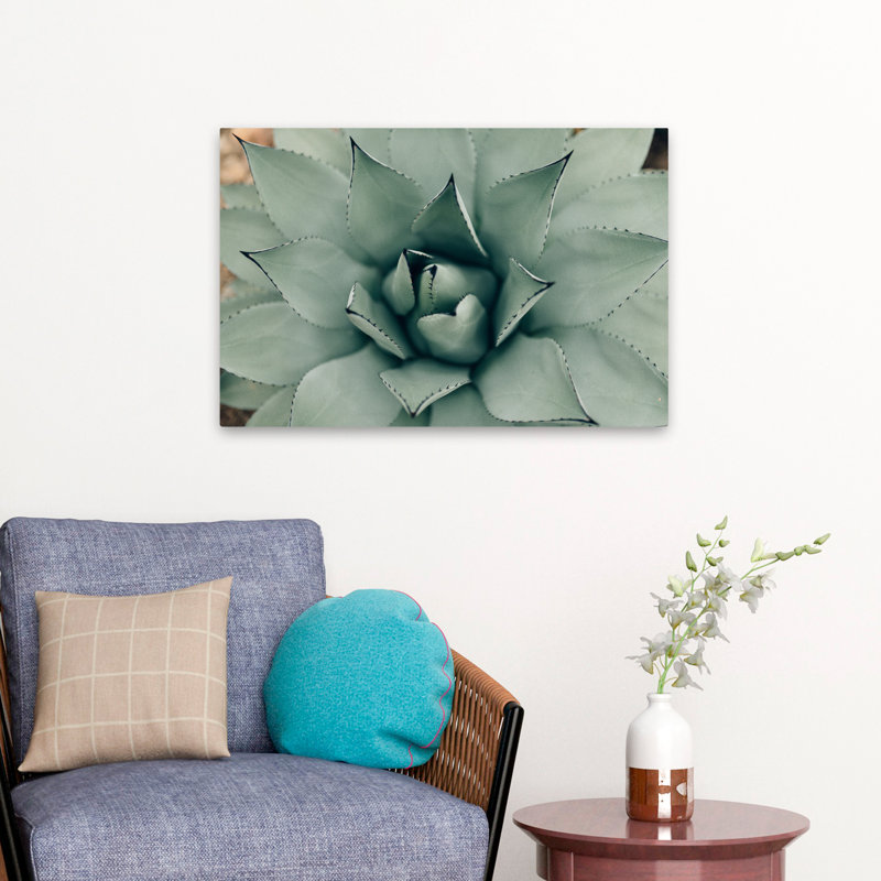 Plantes, fleurs, paysage, nature, somptueux art mural, H 16 po x l 24 po