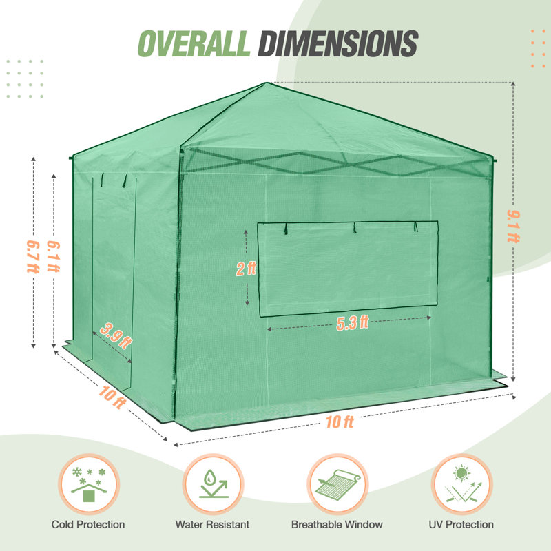 Pop Up Greenhouses 10' x 10' Pop-Up Hobby Greenhouse, Green