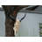 Maryona Bone-Inspired Bull Head Hanging Ornament in Resin Craft-109841987