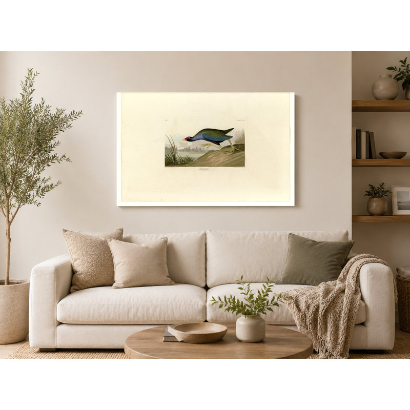 Mauve gallinule (plaque CCV) - art mural sur toile paysage, 14" W x 11" H