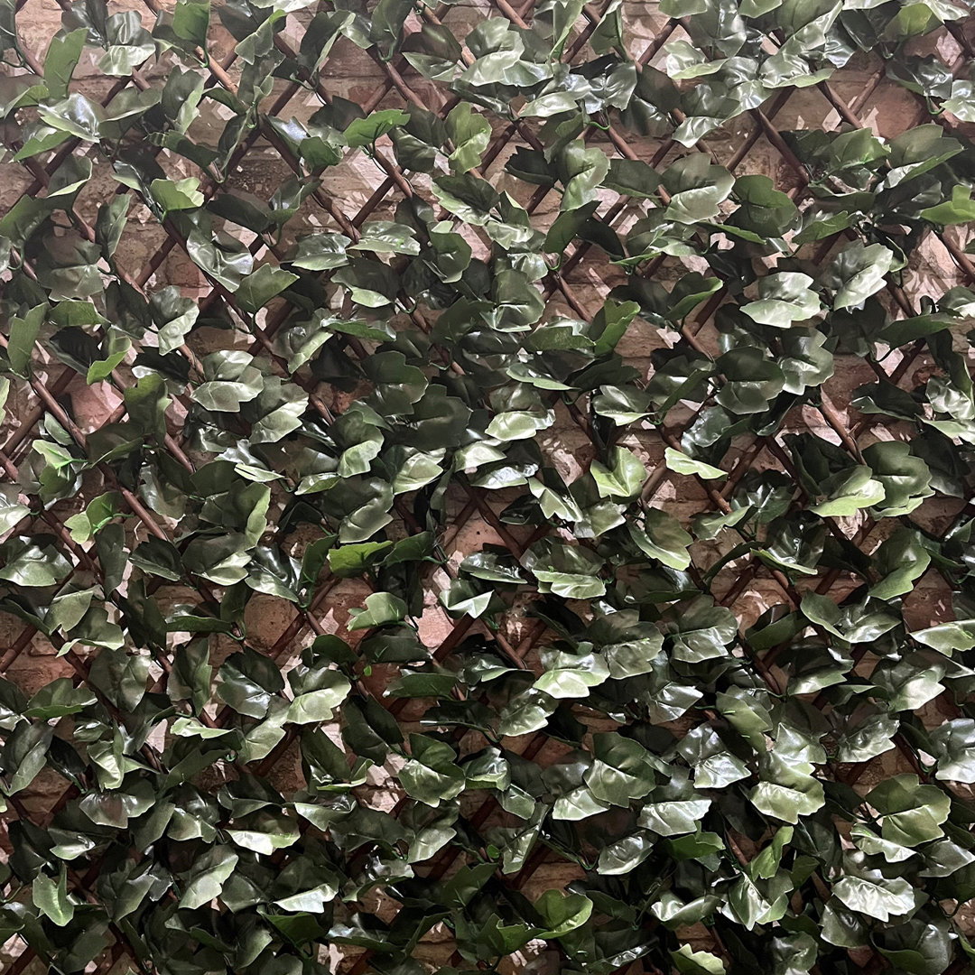 Annalicia 200Cm H x 100Cm W Plastic Expanding Trellis
