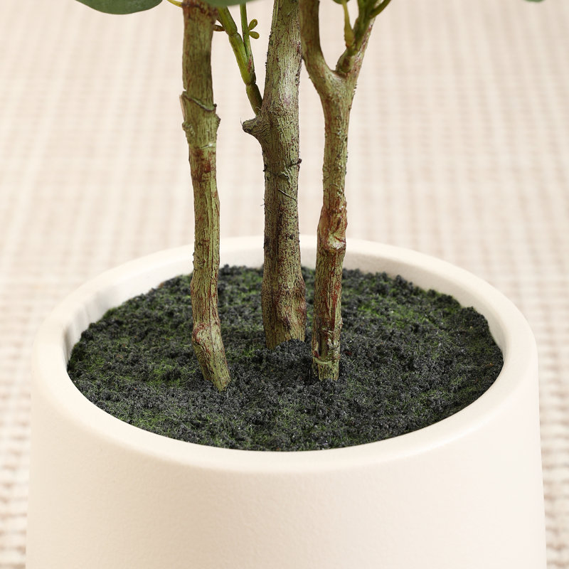Eucalyptus artificiel Adalia en pot blanc, H 72 po x l 24 po x P 24 po