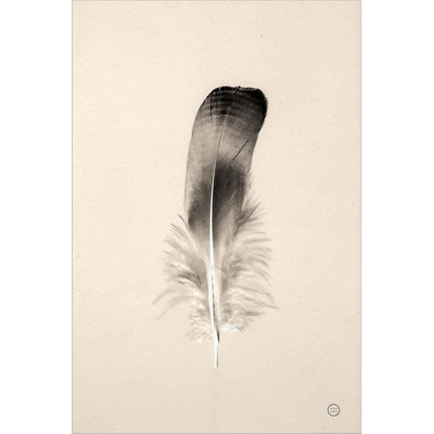 Floating Feathers IV Sepia By Nathan Larson, Framed Wall Art -  Dakota Fields, 09B7A4916D8A42D295AE8DC401870075