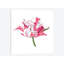 « brighton fleuris v », impression sur toile-29177763-72773402-72773716