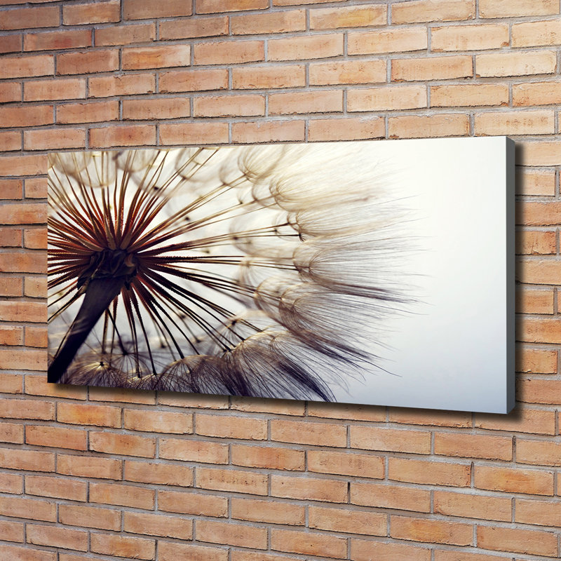 Dandelion - Wrapped Canvas Print