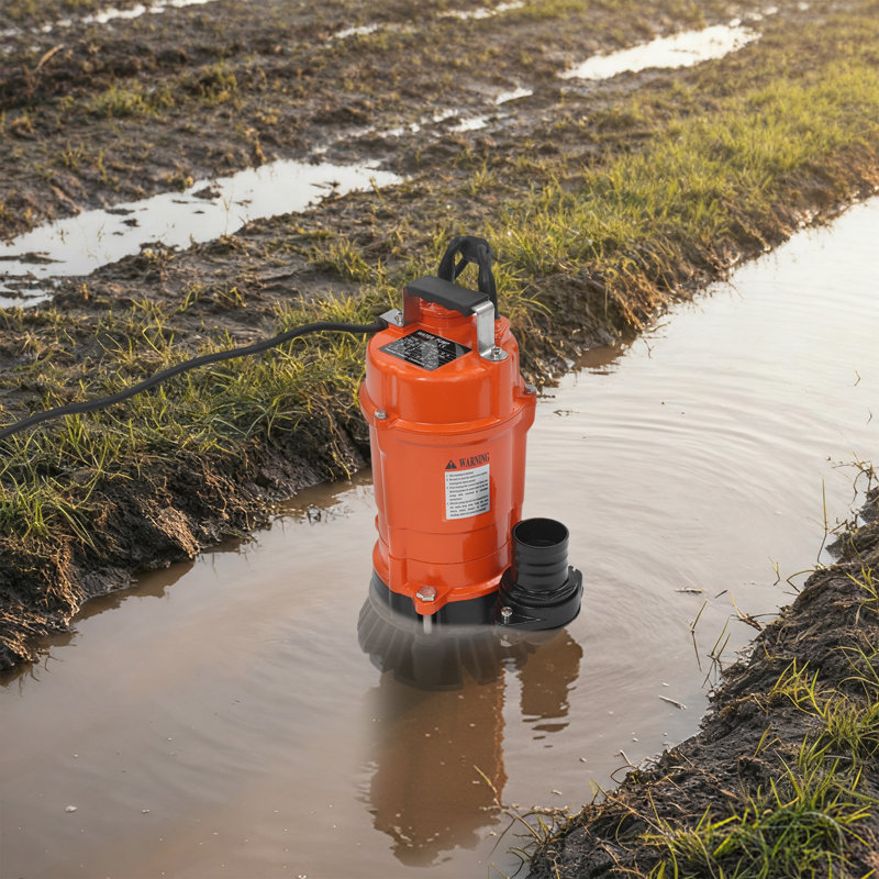 Pompe submersible 750W pour eau sale, Naturel, 750 Watts