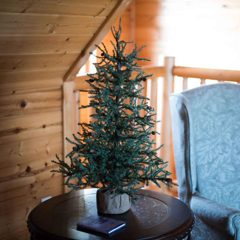 Eastport 3.5' Pre-Lit Pine Christmas Tree, 3' H, Unlit