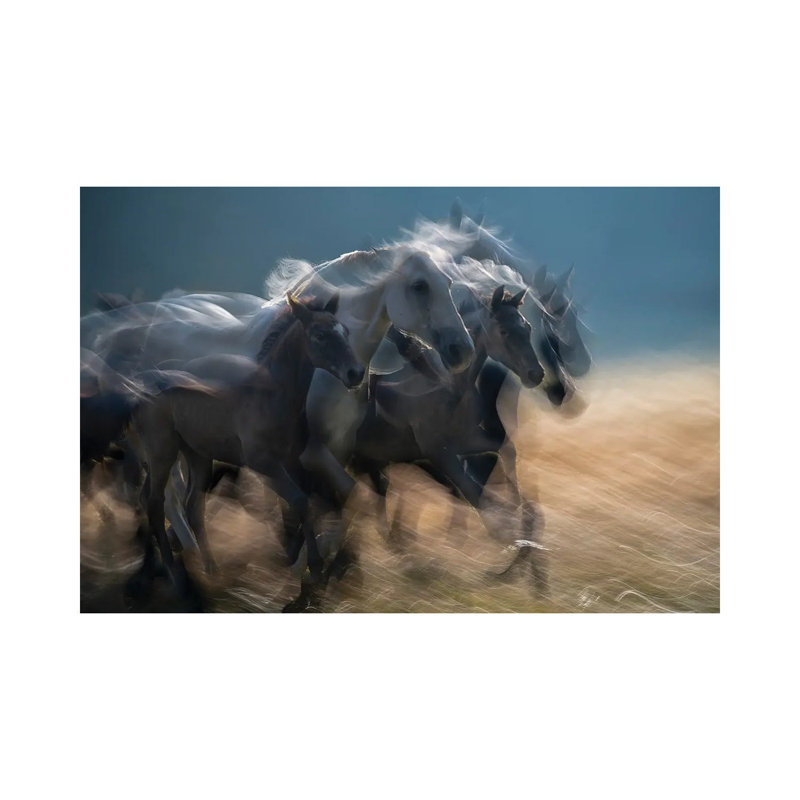 First in Line by Milan Malovrh - Wrapped Canvas Graphic Art 1 Piece Wrapped Canvas Wall Art, 20.32cm H x 30.48cm W x 1.91cm D