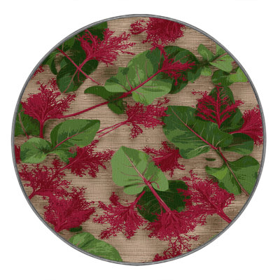 Washable Amaranth Microgreens Vegetables Area Rug