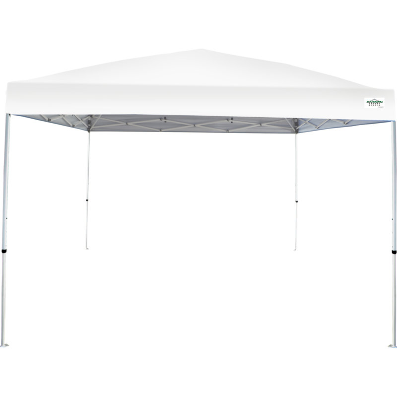 V-Series 10 pi. L 10 pi. D Auvent escamotable en acier