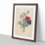 Anemone Flowers by Pierre-Joseph Redoute - Single Picture Frame Painting-55545262-55545263