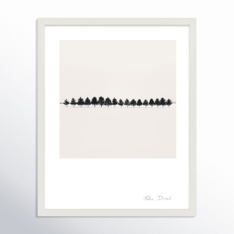 Seventeen Trees Print by Peter Dušek, 20" H x 16" W x 1.25" D, White