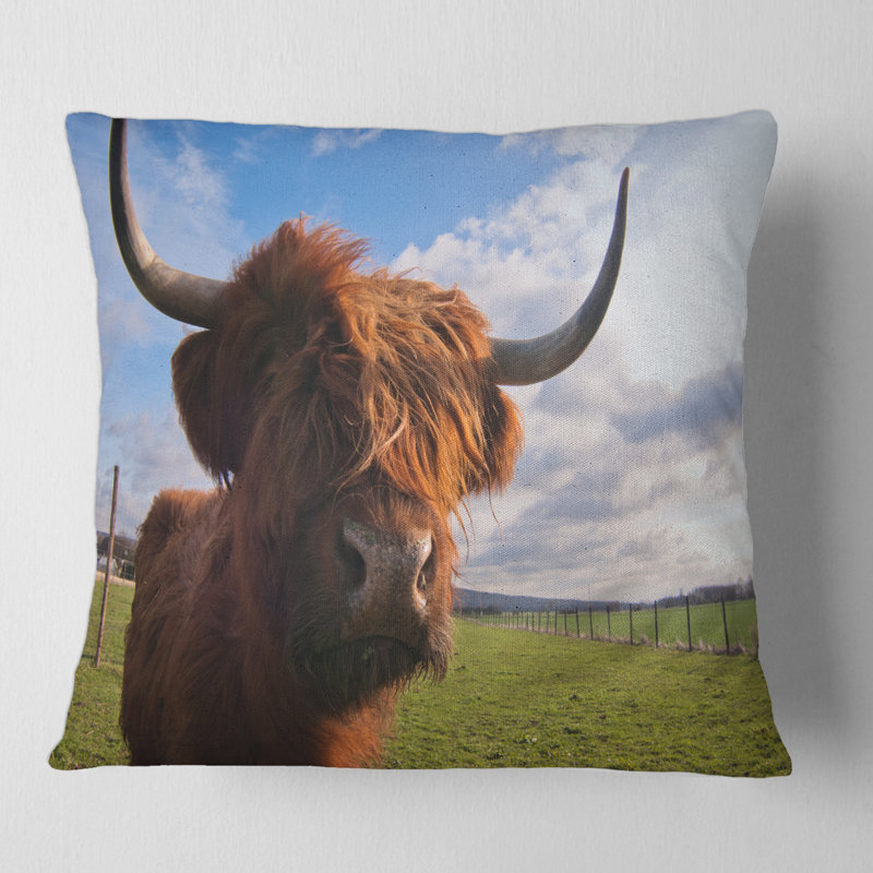 Portrait d'un yak - coussin à imprimé campagnard, 18" x 18"