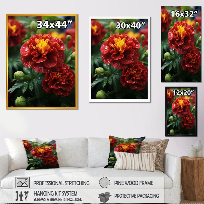 Red Marigold Medley - art mural souci, Cadre flottant brun, H 32 po x l 16 po x P 1 po