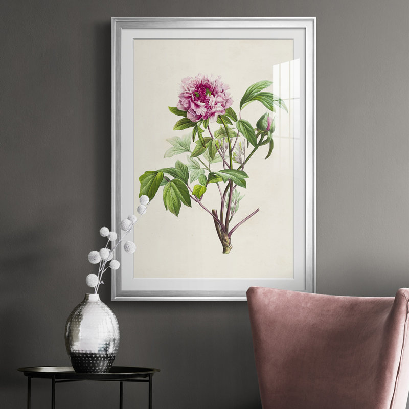 «Pretty Pink Botanicals V», reproduction de cadre photo, H 24,5 po x l 18,5 po x P 1 po, Chrome