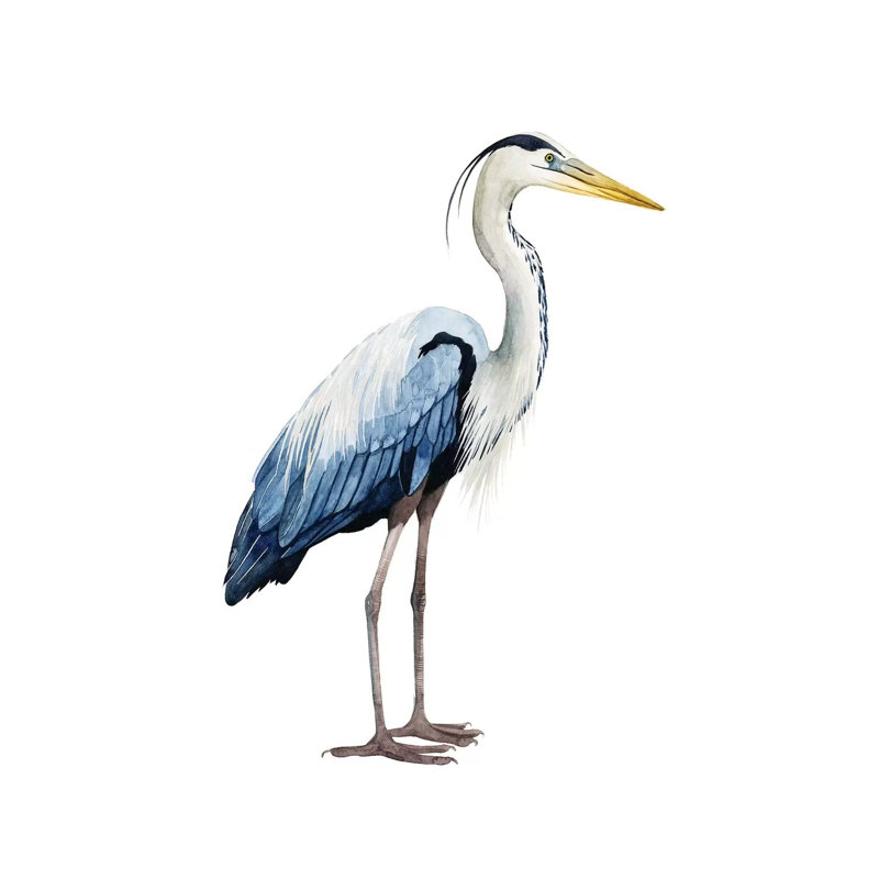 Seabird Heron II by Grace Popp - Wrapped Canvas Gallery-Wrapped Canvas Giclée, 152.5 cm H x 101.5 cm W