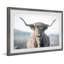 Highland Close-up - Print-1228376643-1228376648