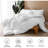 All Seasom Goose Down And Feather And 100% Cotton Cover - Stand-Alone Down Comforter-612821183
