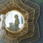 Miroir mural en métal D27x2,4 "pour la salle de bain