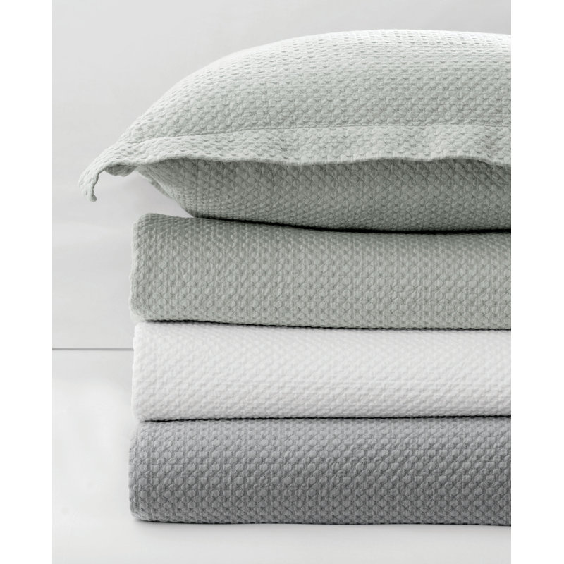 Dotty Sham, Standard, Dove