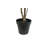 TREE FICUS HEART GROWER 7FT