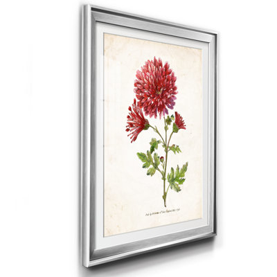 Botanique III - Reproduction d'art sur papier encadré