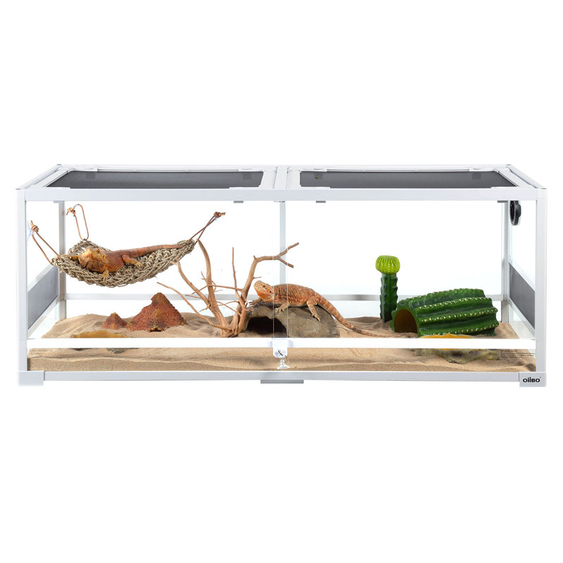 47.7'' x 17.7'' x 17.7'' Reptile Terrarium