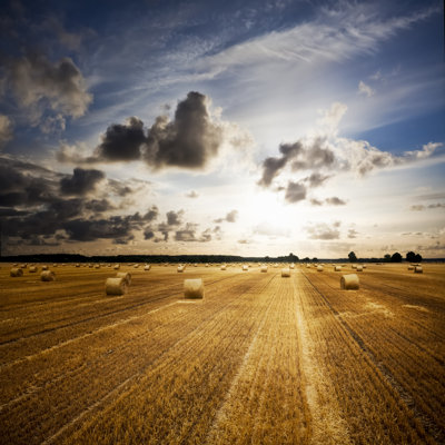 Bale of Straw by Cinoby