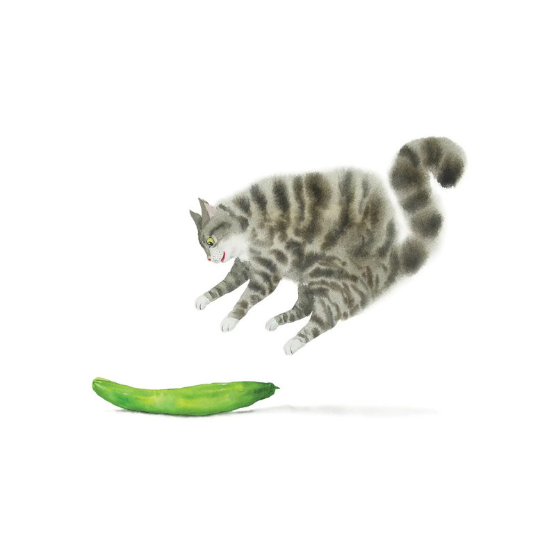 Сat Scared By A Cucumber by Alexey Dmitrievich Shmyrov - Wrapped Canvas Gallery-Wrapped Canvas Giclée