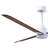 Alessandra 56'' Ceiling Fan-1813772001-1813771991